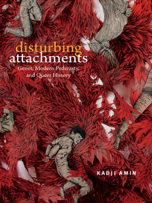 cover image of Disturbing Attachments